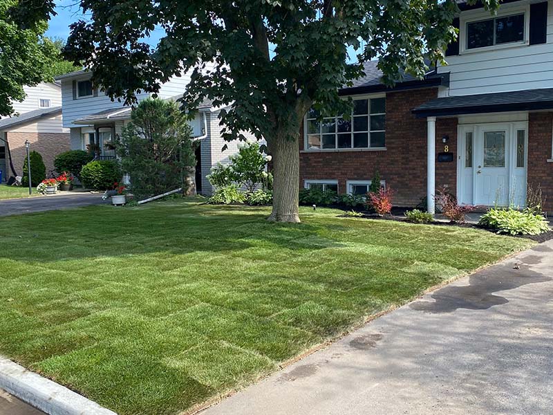 Property Maintenance Services